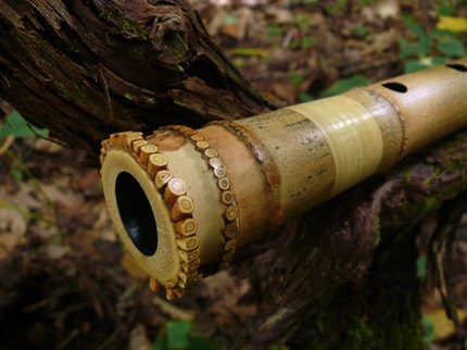 Shakuhachi flute by jem klein - root end with Black lacquered Jiari interior. Rattan binding.